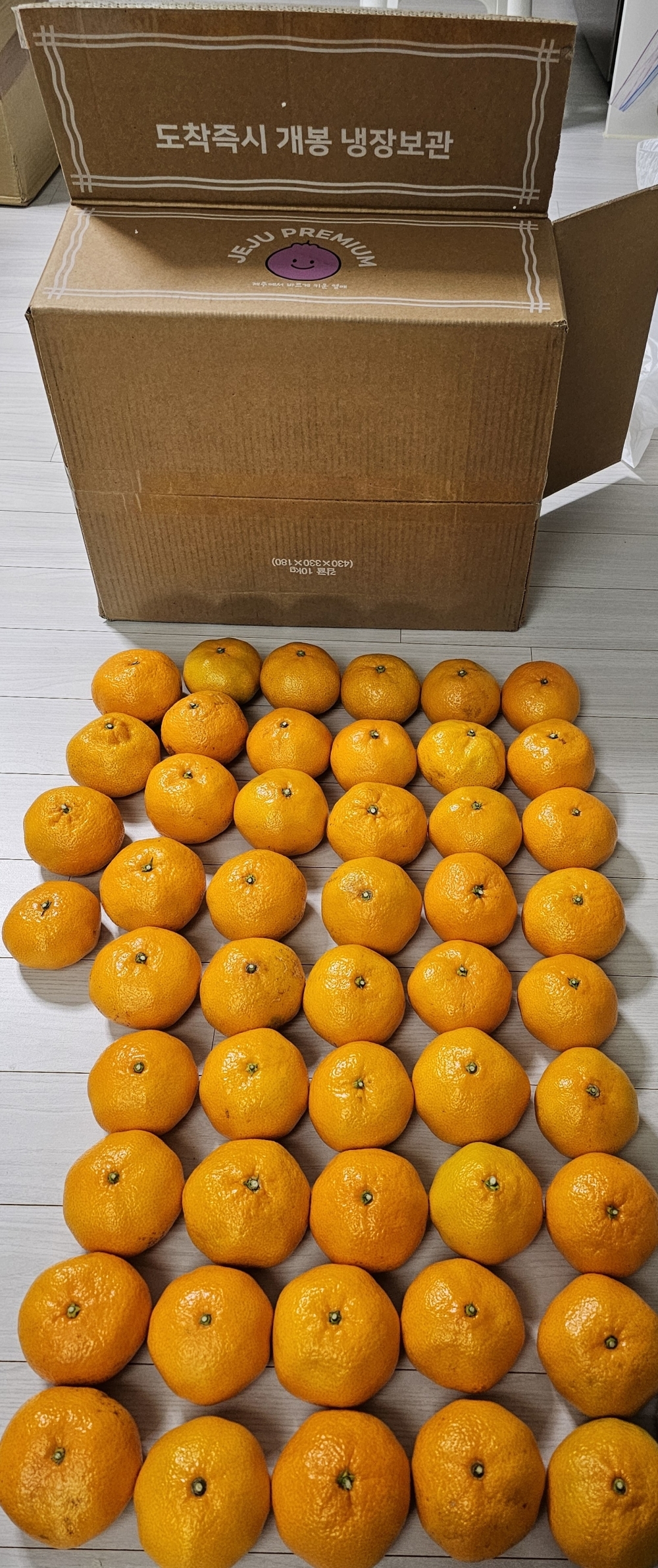 [만원의 행복] [감귤  - 2L ] 제주에서  키운  노지  극조생  감귤  (4.5kg/9kg)