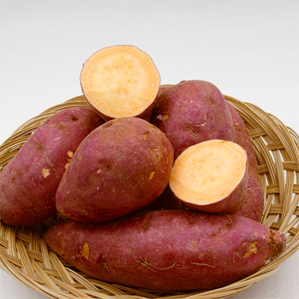 [오커캄스] 영암 호풍미 고구마 호박 고구마 2kg 3kg 5kg 10kg