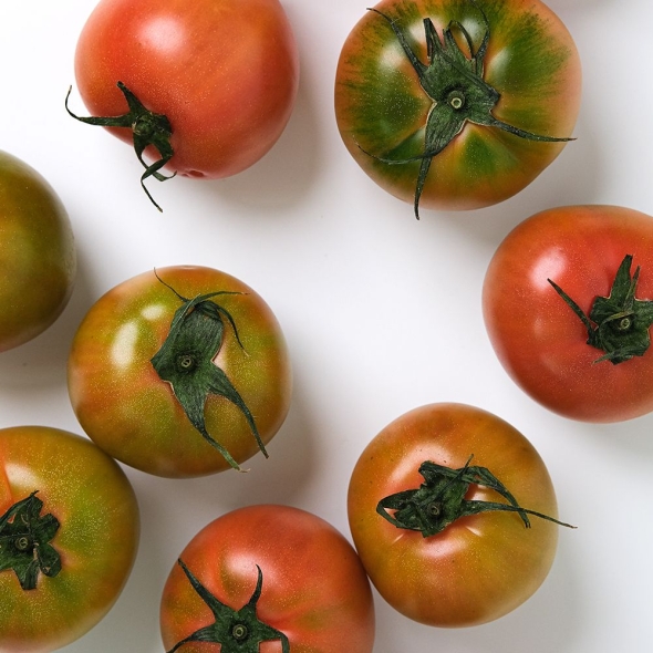 단짠단짠 씹는 식감이 좋은 대저토마토 1kg 외 7종