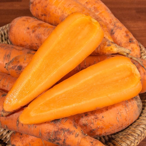  [신한카드 할인] 영양가득 가정용 제주 구좌당근 흙 햇당근  3kg/5kg/10kg