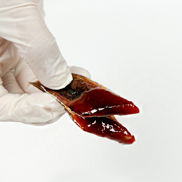 [동방유통] 포항구룡포 손질 꽁치 과메기 1팩/2팩/3팩 (팩당200g/초고추장40g증정)