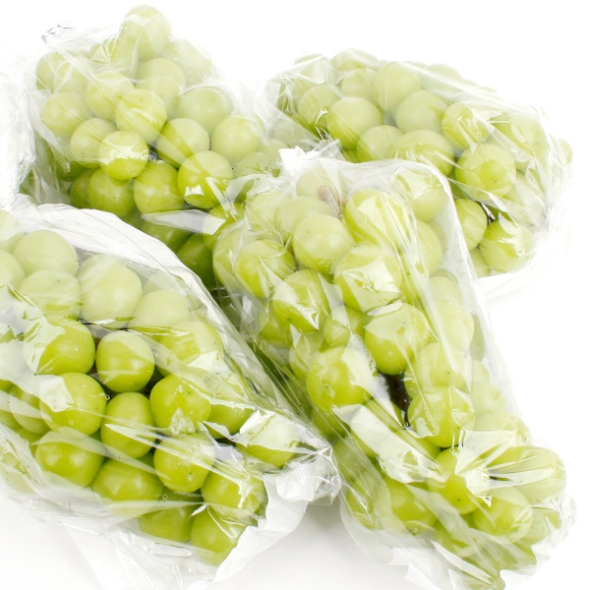 [명절특선] [과일예찬] 김천 샤인머스캣세트 3종 1.5kg(2~3수) / 2kg(2-3수) / 4kg(4-5수)