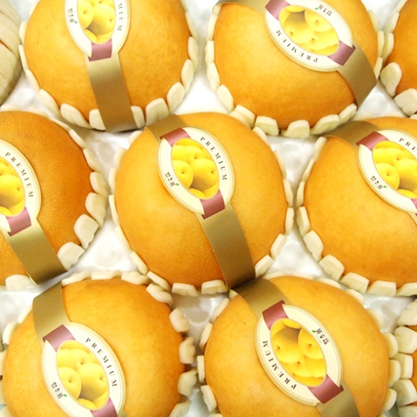 [과일예찬] 프리미엄 배세트 7.5kg(14과내/12과내/10과내)