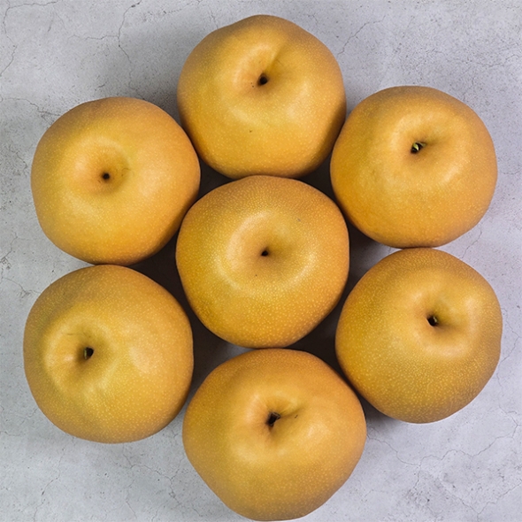 [주말특가] 아삭하고 시원한 나주배