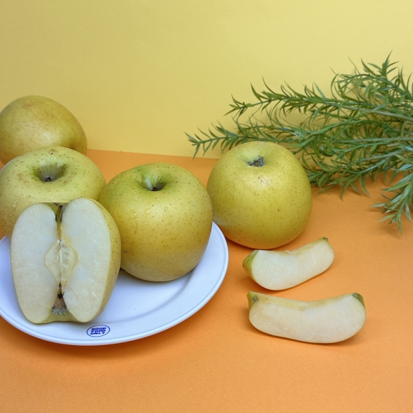 (정품) 시나노골드 사과 중대과 로얄사이즈 (일반포장) 아삭 단단 시나노 3kg / 5kg