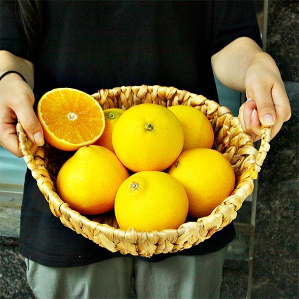 [명절캄스] 제주 황금향 선물세트 2kg 3kg 5kg 선물가방 포함