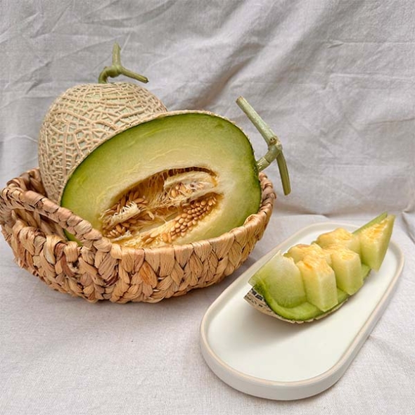 고당도 선별 머스크 메론 1.5kg