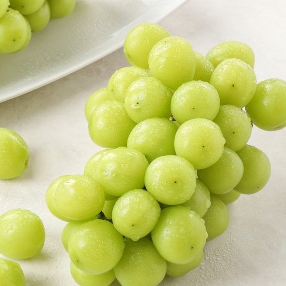 [부엌애] 당도선별 김천 프리미엄 샤인머스켓 1.3kg/2kg