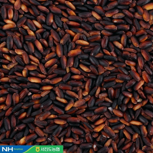 [서진도농협] 진도 검정찰흑미 1팩/2팩/3팩/5팩 (팩당1kg)지리적표시제인증