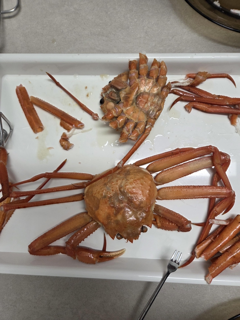 [만원의 행복] 산지직송 구룡포 연지홍게  홍게제철  실속 가성비 3kg (10-12미)