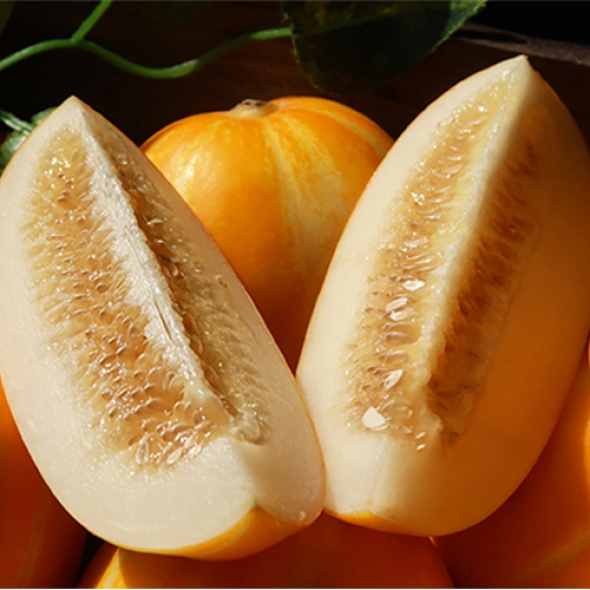 [오커디어] 꿀당도 성주 참외 1.5kg 2kg 2.5kg 3kg 4.5kg