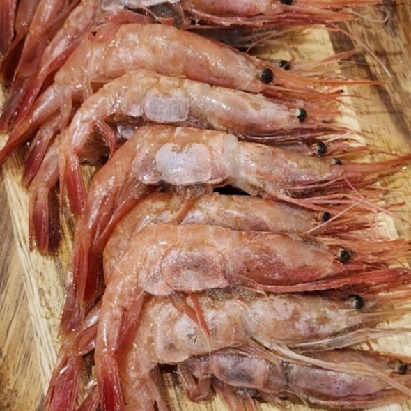 국내산 냉동 단새우 2kg
