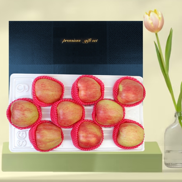 [名品] 실속형 사과 선물세트 3kg내외(9과)