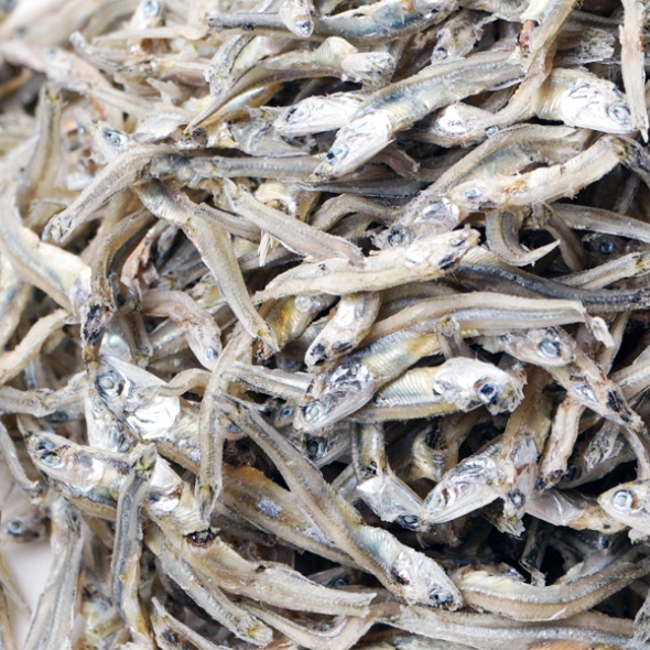 [단짠예찬] 바다내음 볶음조림멸치(가이리/자멸) 1봉/2봉/3봉(봉당500g)