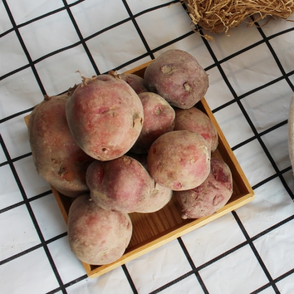 [오커브팜] 카스테라 홍감자 빨간 감자 1.5kg 3kg 5kg