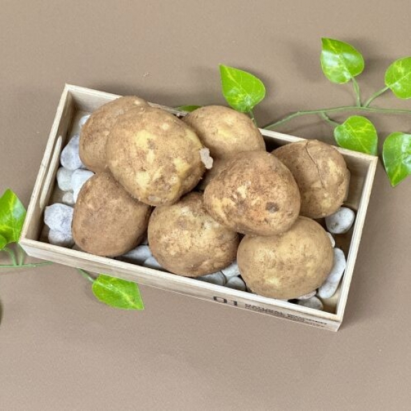 쫀쫀한 감자 대/특/왕 사이즈 (수미/두백 시기별 랜덤)