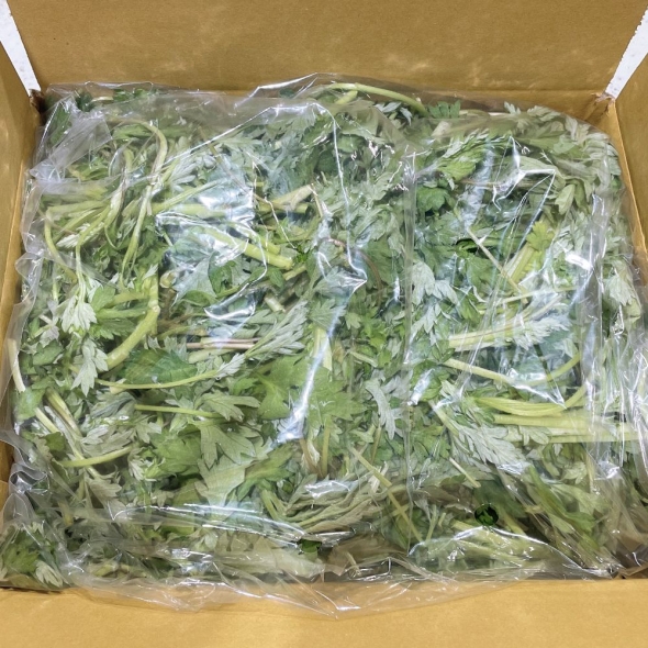 여수 거금도 해풍맞은 해풍쑥 생쑥 봄나물 1kg 500g