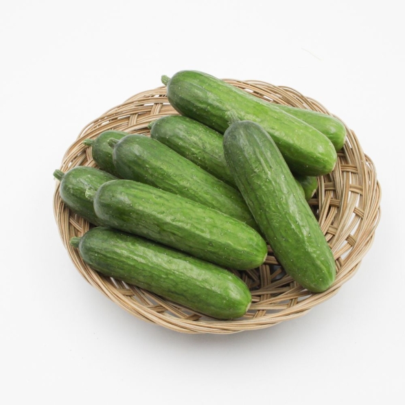 [오커캄스] 작은 미니오이 피클리노 10개입 20개입