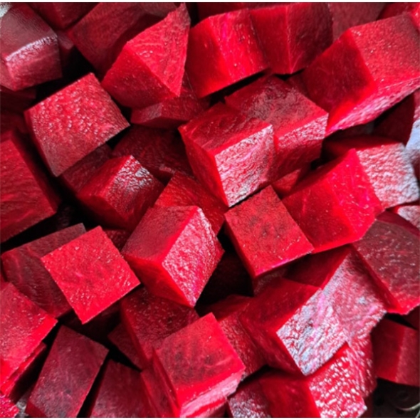 땅속의 붉은 보석  제주 레드 비트