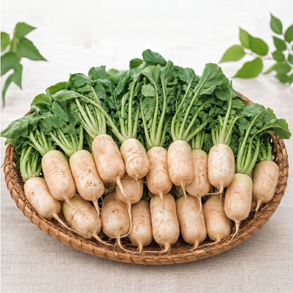 [오커최고] 여수 알타리무 3kg 5kg 10kg 무우 무시