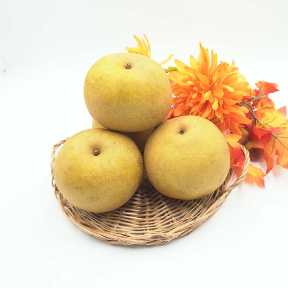 [김장철] 세계가  인정한  맛의  기준  상주  만풍배  2.5kg/5kg