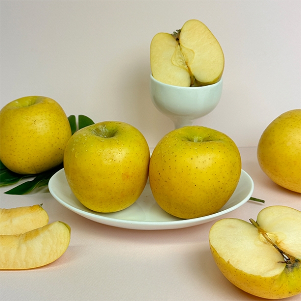 [오커캄스] 황금빛 시나노 골드 사과 2kg 3kg