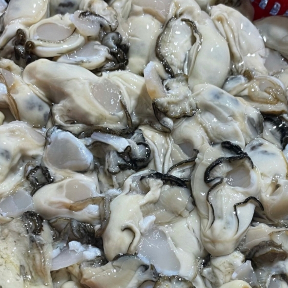 [주말특가] 이순신수산 산지직송 최상급 통영 깐 굴 1kg  버블세척 석화 하프셀