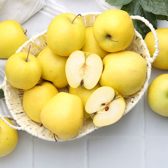 [보름데이] 향기담은 경북 시나노골드 사과 2kg/3kg/5kg (정품)