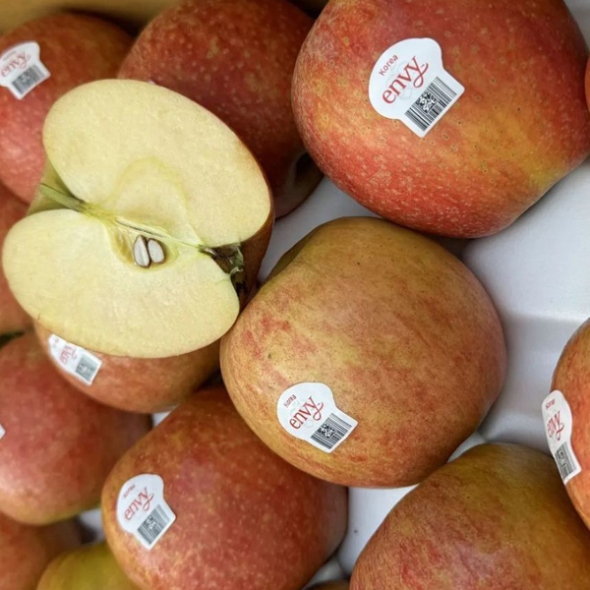 [농장직송] 고당도 정품 엔비사과 1kg/5kg