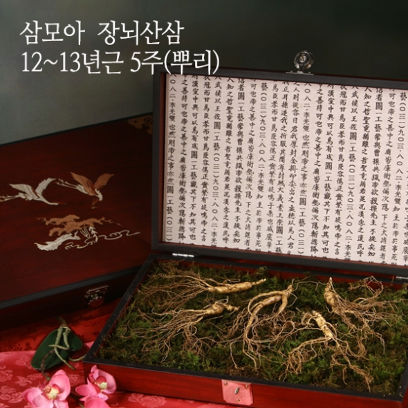 [삼모아] 산양산삼 12-13년근 2/3/5/7뿌리(VIP선물세트)/고가구목함+실크보자기