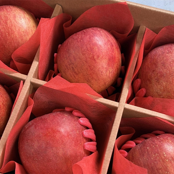 [선물세트] 있지 명품 사과세트(마)