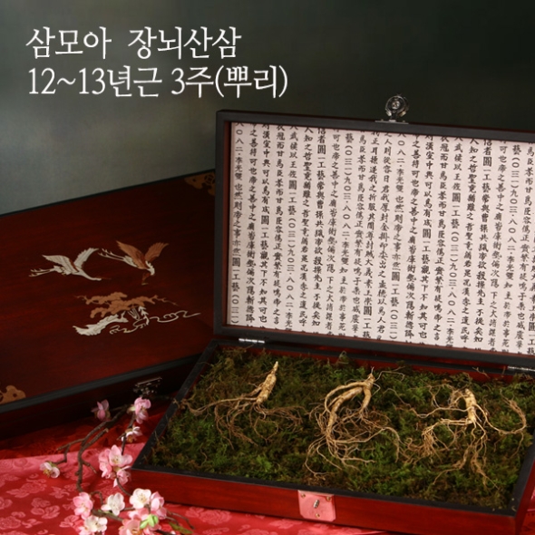 [삼모아] 산양산삼 12-13년근 2/3/5/7뿌리(VIP선물세트)/고가구목함+실크보자기