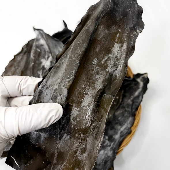 [마산어시장] 두툼한 명품 기장 다시마 400g x1팩/2팩