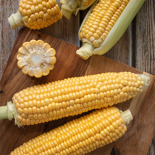 [만원의 행복] 냉동 강원도 초당옥수수(푸)