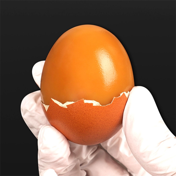 [보름데이] 영양만점  구운계란(푸)