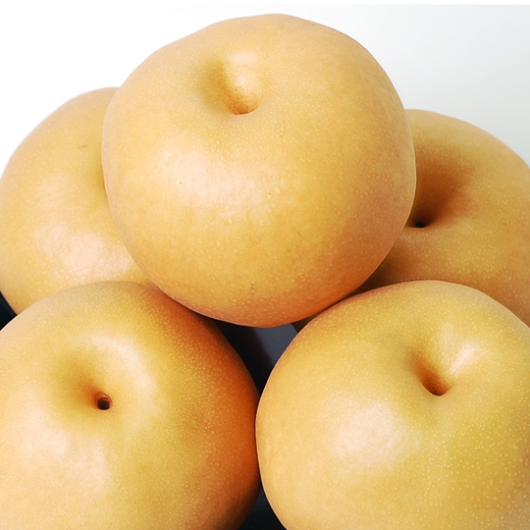 [푸토리] 맛있는 가정용 황금 나주배 15kg(16~23과)(24~30과)