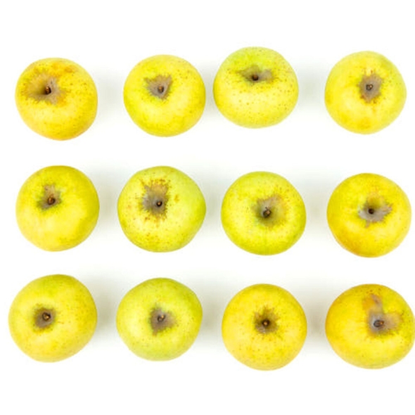 [신한카드 할인][클래식농원] GAP, 저탄소 괴산 시나노골드 3kg 9~10과(대)