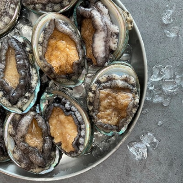 [신한카드 할인]최상급 완도 참 전복 1kg