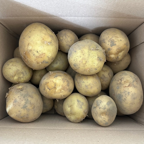 [신한카드 할인] 쫀득쫀득 정말 맛있는 설봉감자