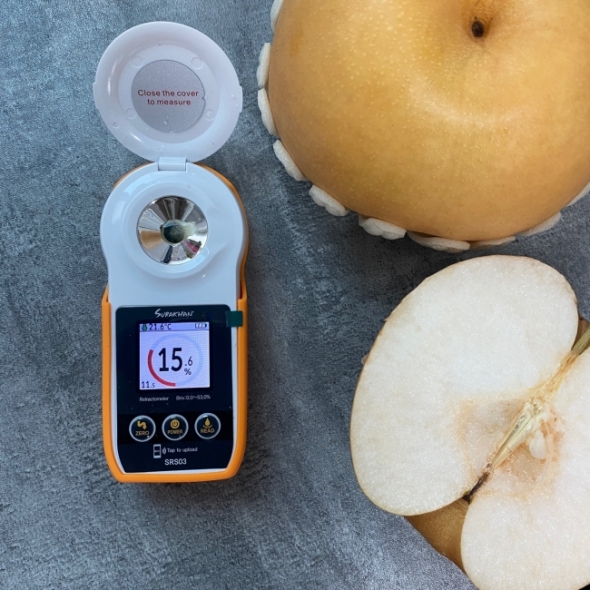 [오커캄스] 나주배 선물세트 5kg 7.5kg GAP 인증