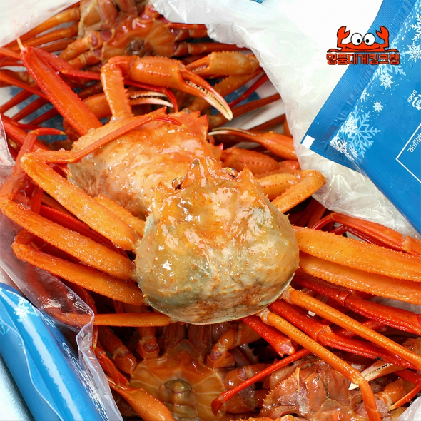 국내산 왕큰 명품 설탕홍게 3kg  속초홍게 직송