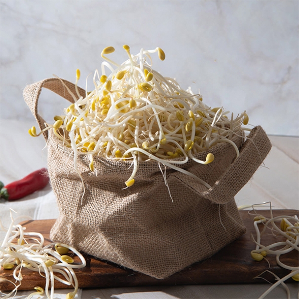 [신한카드 할인] 친환경 국산콩 콩나물