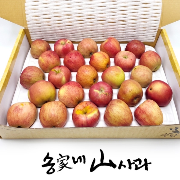[송가네산사과] 실속 못난이 사과 4.5kg (중소과 19~25과내/대과 13~18과내)