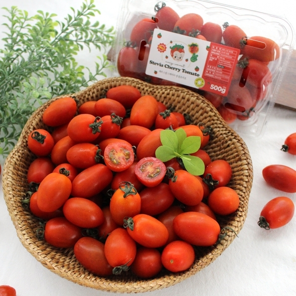 [만원의 행복] [토마브팜] 스테비아 방울 토마토 500g 1팩 2팩 3팩 4팩