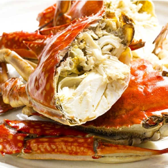  [산지직송] 국내산 활 숫꽃게 1kg (3~6미 내외)