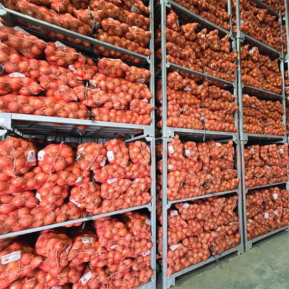 [보름데이] 국내산 만생종  양파(푸)