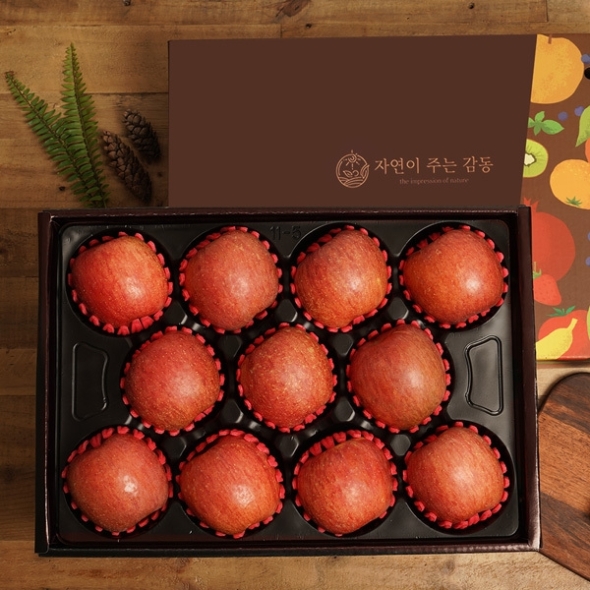 [선물세트] 제수용 사과선물세트 대과 5kg (10-13과)/3.5kg/2kg 5종세트