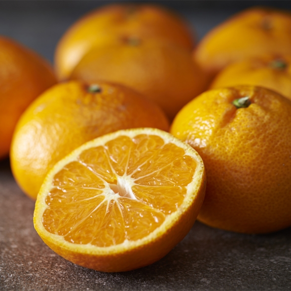 [부엌애] 제주  당일선별 하우스 타이벡농법 감귤 로얄과(S-M) 3kg