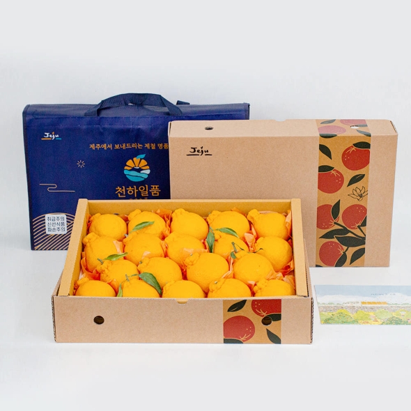 제주 한라봉 선물세트 2.5kg 중대과 외