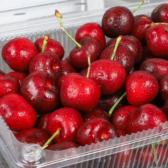 [심심상인] 항공직송 칠레 생 체리(중과/10row) 500g/1kg/2kg